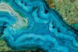 Polished Banded Chrysocolla Slice - Bagdad Mine, Arizona #378922-1